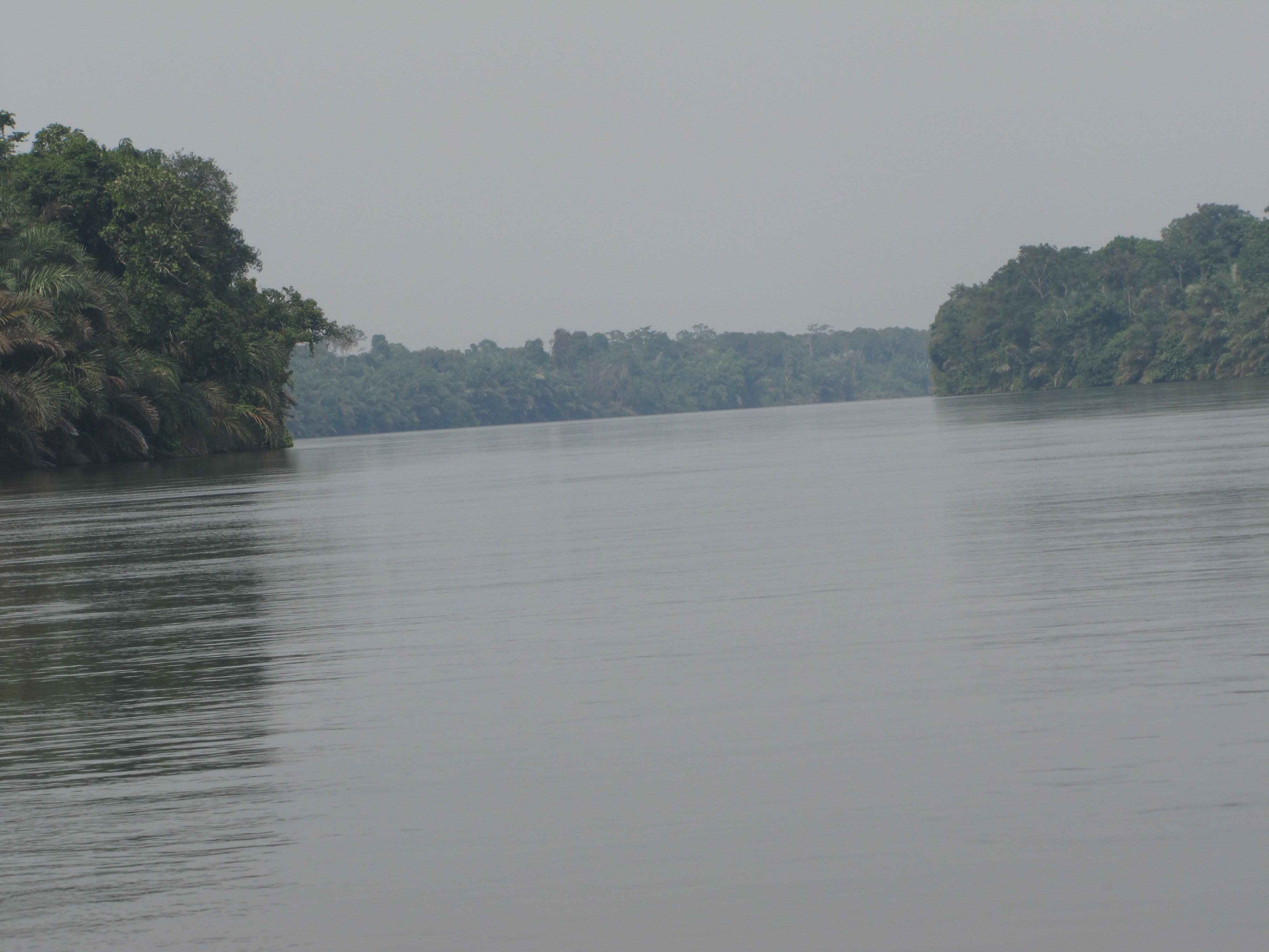 Le cours de la rivière Alima